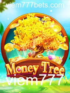 Descubra o Excitante Mundo de MoneyTree: Como Jogar e Conquistar o Sucesso